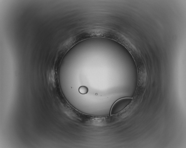 X0000116600126200912111121