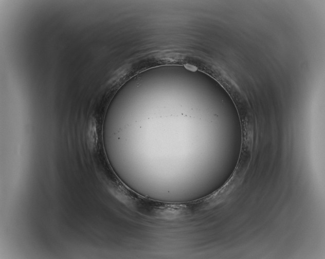 X0000116600128200912111121