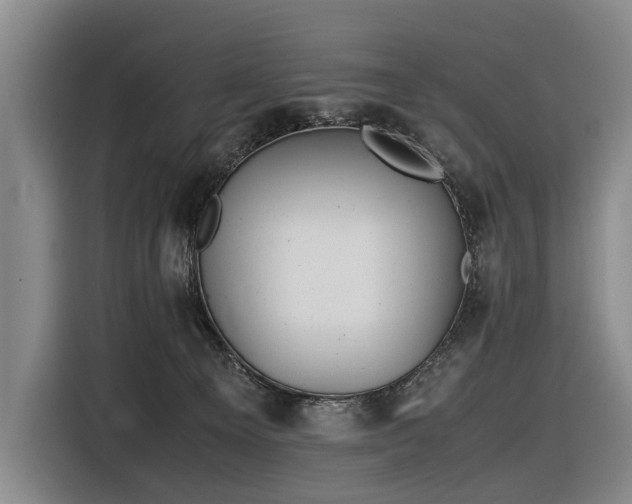X0000116600129200912111121