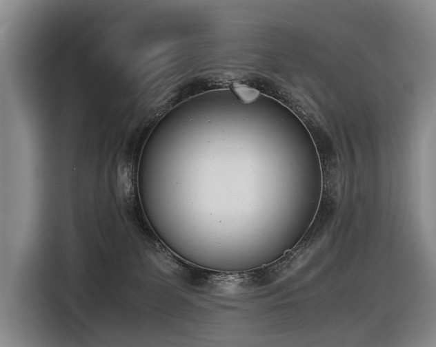 X0000116600131200912111121