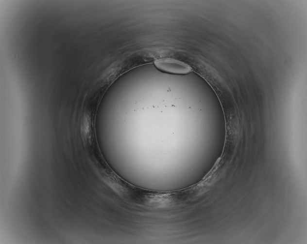 X0000116600132200912111121
