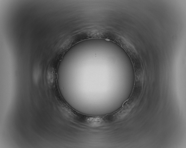 X0000116600133200912111121