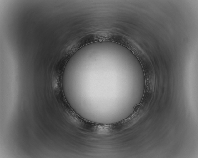 X0000116600134200912111121