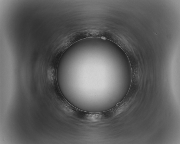 X0000116600135200912111121