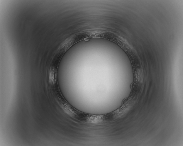 X0000116600138200912111121