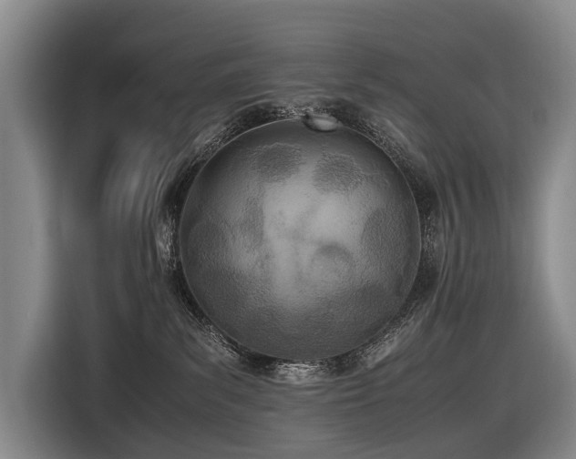 X0000116600139200912111121