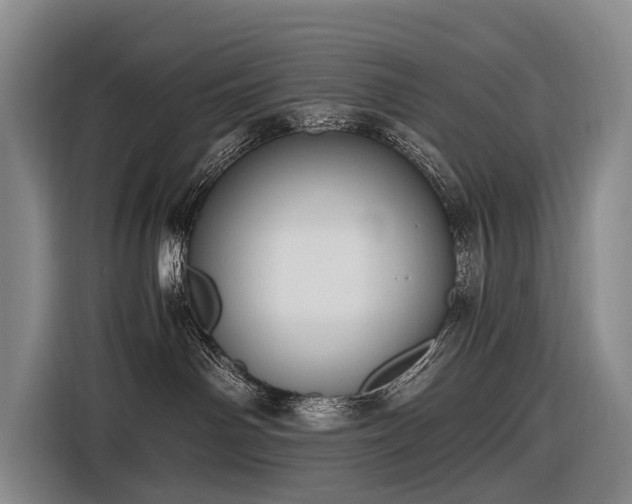 X0000116600142200912111121