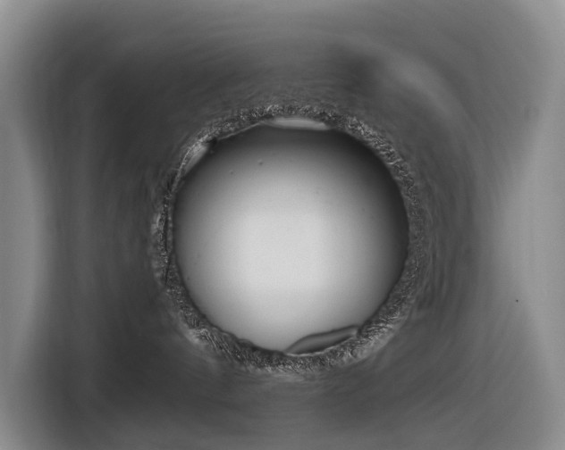 X0000116600144200912111121
