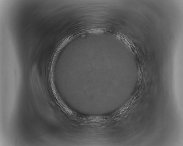 X0000116600145200912111121