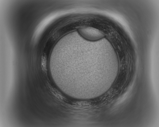 X0000116600146200912111121