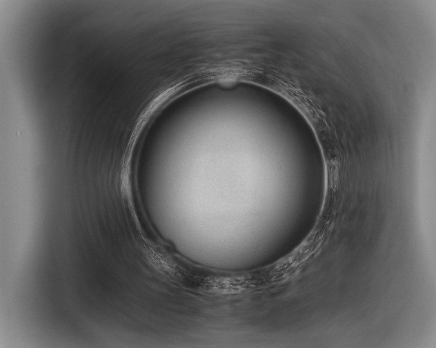 X0000116600147200912111121