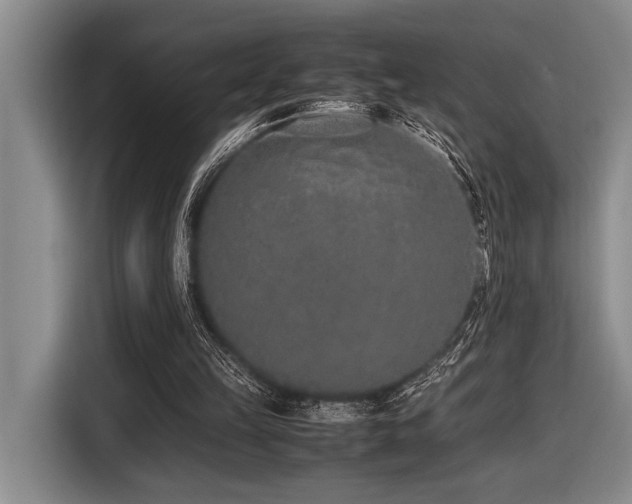 X0000116600149200912111121