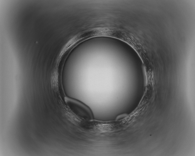 X0000116600150200912111121