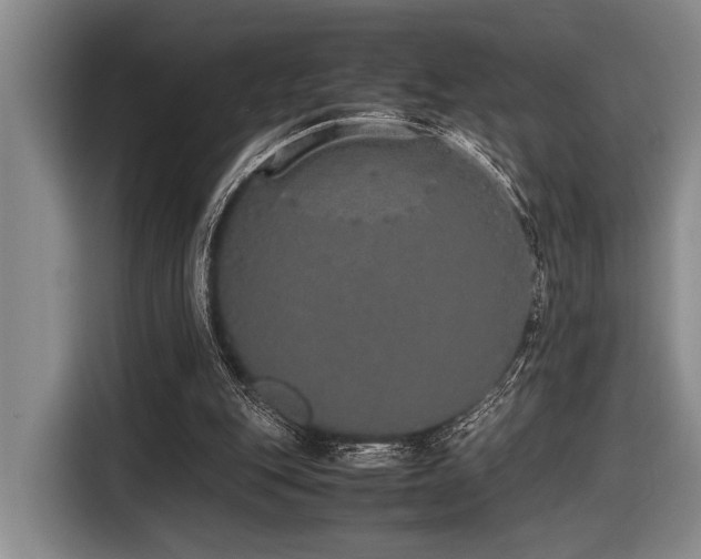 X0000116600151200912111121