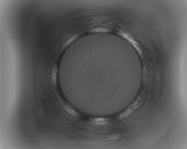 X0000116600153200912111121