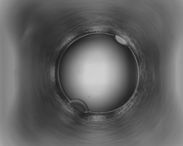 X0000116600154200912111121