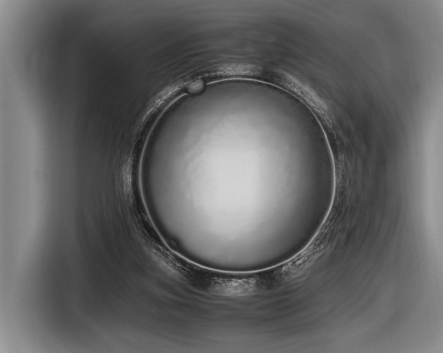 X0000116600155200912111121
