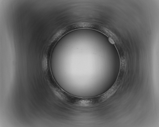 X0000116600158200912111121