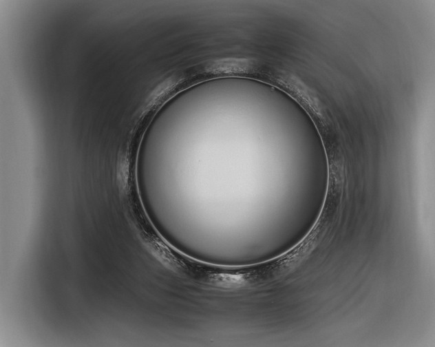 X0000116600159200912111121