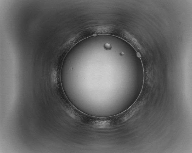 X0000116600161200912111121
