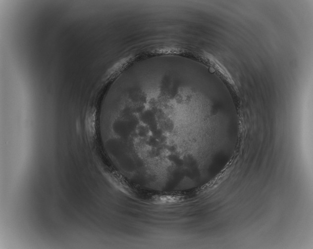 X0000116600163200912111121