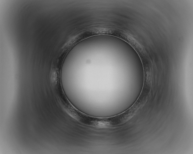 X0000116600165200912111121
