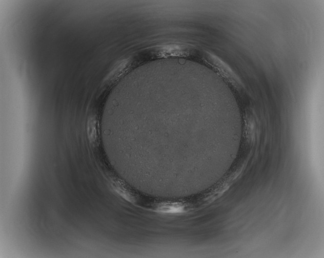 X0000116600169200912111121