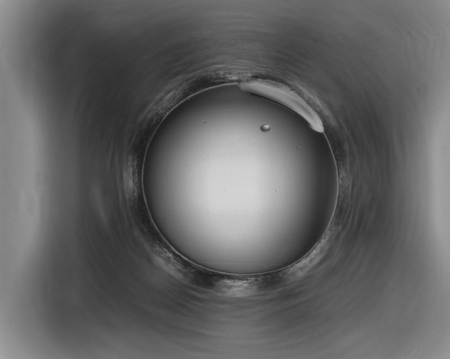 X0000116600170200912111121