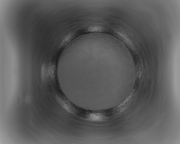 X0000116600171200912111121