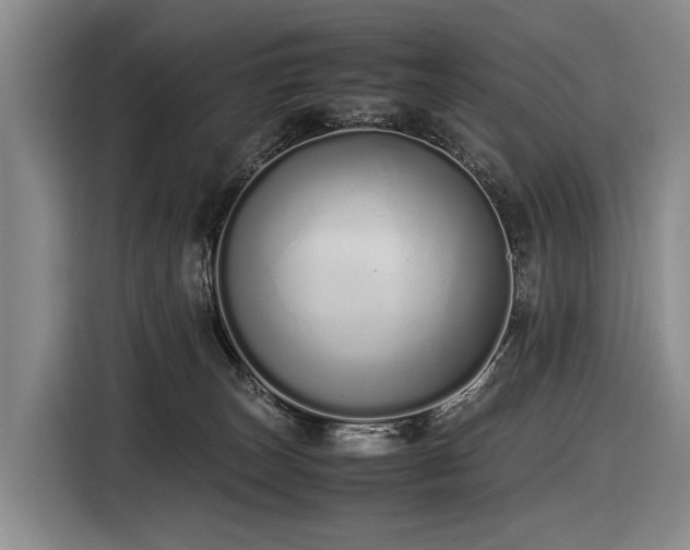 X0000116600179200912111121