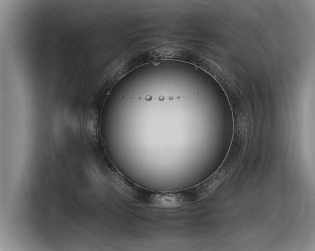 X0000116600181200912111121