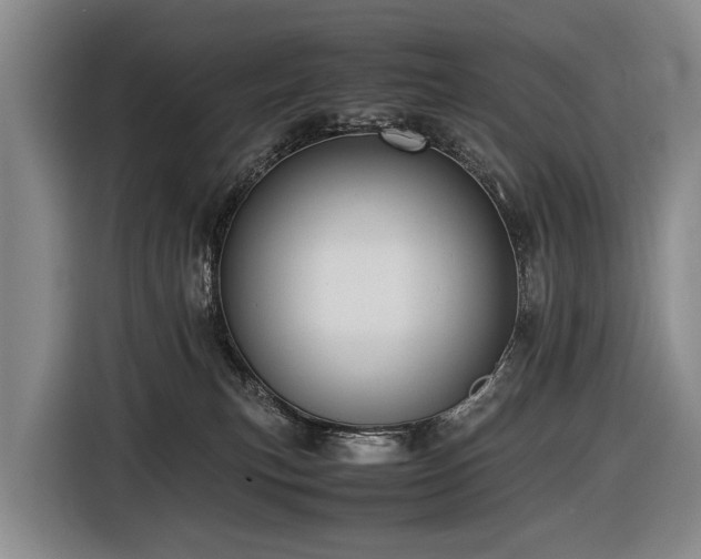 X0000116600183200912111121