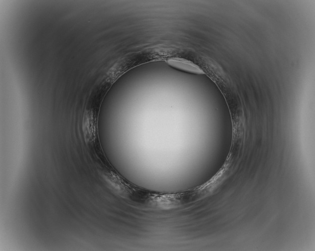 X0000116600186200912111121