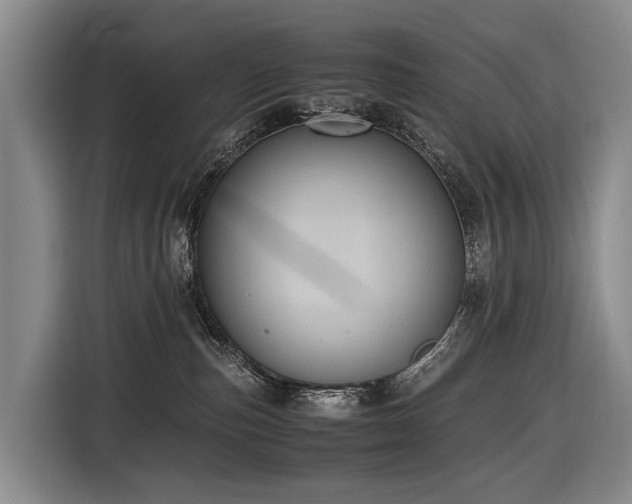 X0000116600187200912111121
