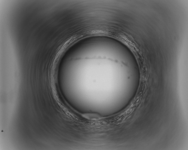 X0000116600193200912111121