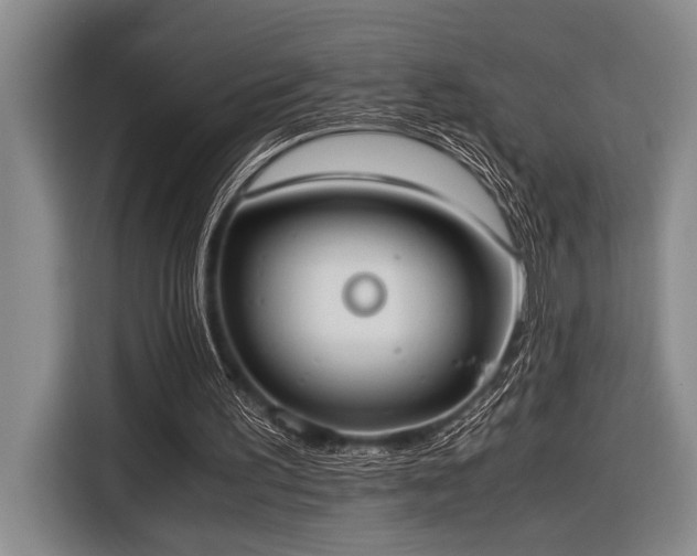 X0000116600195200912111121