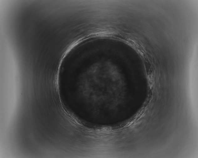 X0000116600196200912111121