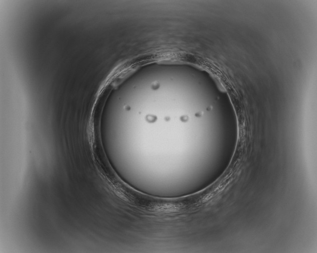 X0000116600198200912111120