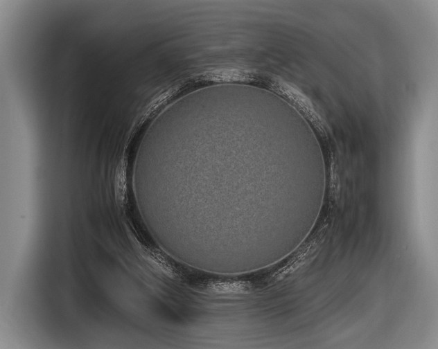 X0000116600202200912111120
