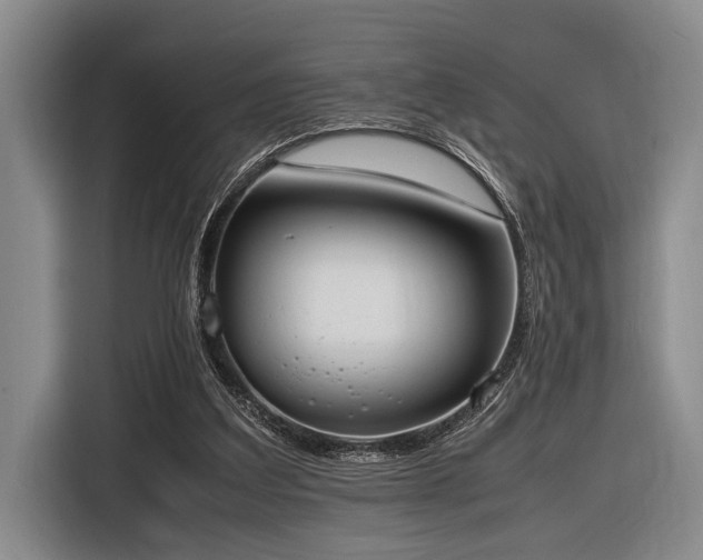 X0000116600203200912111120