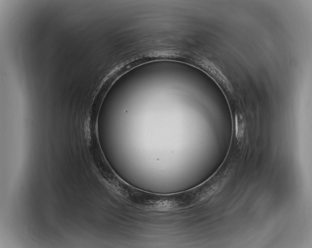 X0000116600204200912111120