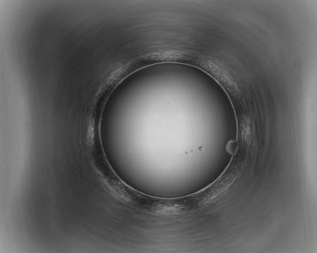 X0000116600206200912111120