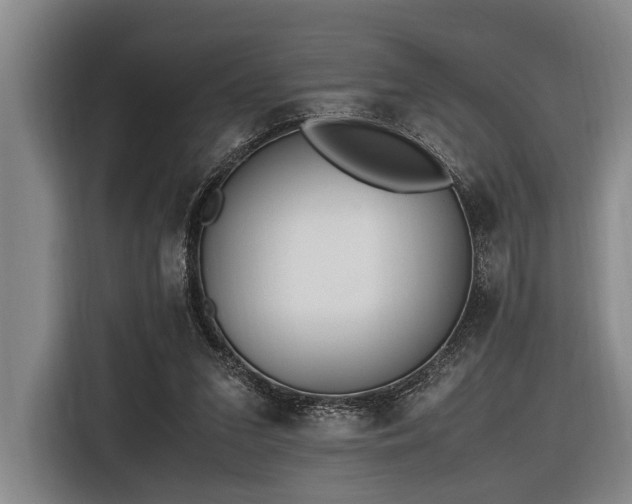 X0000116600207200912111120