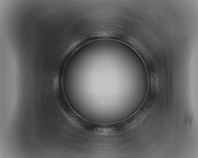X0000116600208200912111120