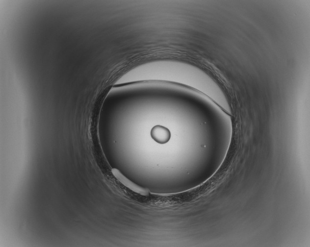X0000116600209200912111120