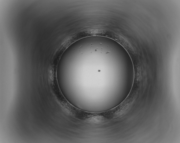 X0000116600210200912111120