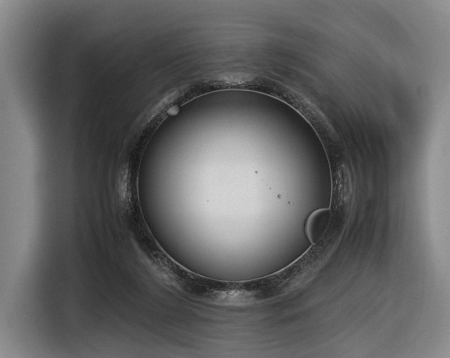 X0000116600212200912111120
