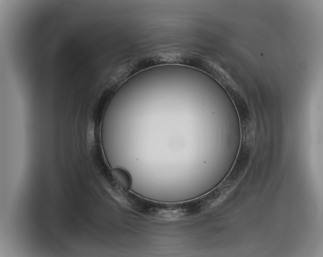 X0000116600213200912111120