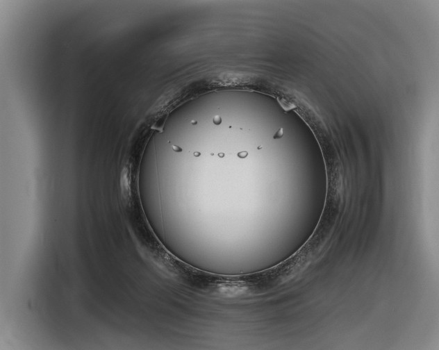 X0000116600214200912111120