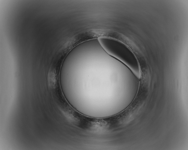 X0000116600215200912111120
